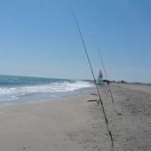 Alain le surfcasteur - Dorade Surfcasting