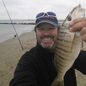 Olivier aimante les jolis marbrés - Dorade Surfcasting