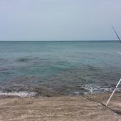 Olivier s'attaque aux dodos - Dorade Surfcasting