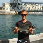 Alexandre est Royal - Dorade Surfcasting