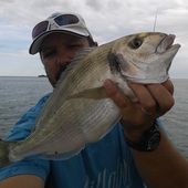 Olivier remet ça - Dorade Surfcasting