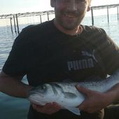 Jojo et son joli loup - Dorade Surfcasting