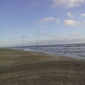 Batavia et les loups - Dorade Surfcasting