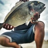 Olivier égale son record - Dorade Surfcasting