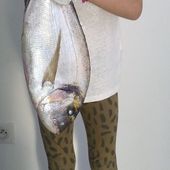 Batavia do Brasil - Dorade Surfcasting