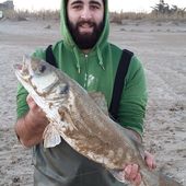 Seb sort son premier loup en surf - Dorade Surfcasting