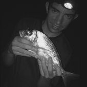 Tanguy nous fait un retour de ces dernières sorties - Dorade Surfcasting