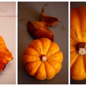 Gâteaux sablés à la courge musquée