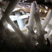 La Caverne aux Cristaux Géants, Mine de Naica - Bioécologie