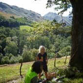 Transhumance, on en remet une couche - Le blog de Jeno l'écolo Jenofanimalhumaniste
