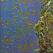 Dans la mer... (suite 1) - Le blog de Pi_ro_94