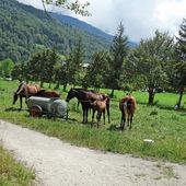 Un nouveau séjour dans les Alpes (Fin) - Le blog de Pi_ro_94