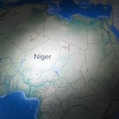 Pétition urgente: Stop à la pression d'Areva sur le Niger !