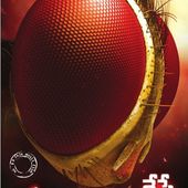 INDIAN FOCUS BIFFF 2014 - Le blog de Michel Dubat