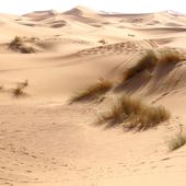 Vers les dunes de Merzouga - Blog de Jean-Claude Grosse