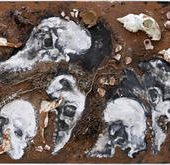 Grotte Chauvet, Revue des Deux Mondes, Ladret de Lacharrière - Blog de Jean-Claude Grosse