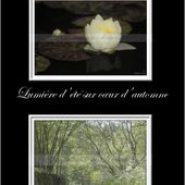 Tirage Fine Art - Le chemin au bout du monde...