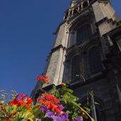 La Collégiale, toujours...