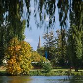 Cartes postales d'Octobre