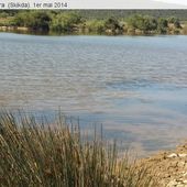 Vagues...Randonneurs de Skikda : A Oued El Kebir (Skikda) (33) - srigina