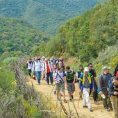 Vagues...Les Randonneurs de Skikda : Avec Alto (40) - srigina
