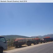 Quai...L'été 2016, avec la production de la tomate à l'est de Skikda. - srigina