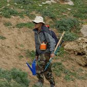 Vagues... Les Randonneurs de Skikda : Plantation du Cèdre au Mont Sidi Driss (70) - srigina