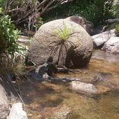 Vagues...Les Randonneurs de Skikda : Le retour à Marsa Zitoune (92) - srigina