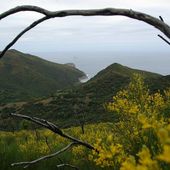 Vagues...Les Randonneurs de Skikda : La plage d'Oued Bibi (95) - srigina
