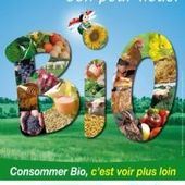 Douze règles toutes saisons pour bien s'alimenter et rester en bonne santé - Dans la Bulle de Manou