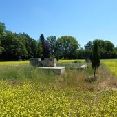 Le bassin de Saint Suffren (Lambesc)/ #Photodimanche5 - Dans la Bulle de Manou