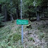 Pont de Mousse - Donon - Vosges randonnées