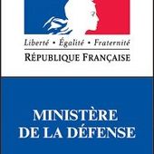 Un budget de la défense augmenté...pour quoi faire ?