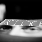 Efforcez-vous d’aimer vos questions...M.Rilke