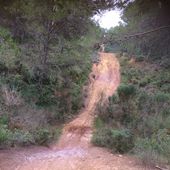Matinée cuvette