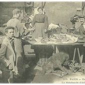 arlequin - Le blog de Tonton Daniel