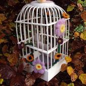 Ouvrez, ouvrez la cage aux oiseaux......