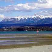 Ils ont "vidé le lac" - Ma vie franco-danoise