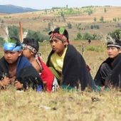 Bibliothèque indigène : Les mapuches - coco Magnanville