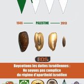 Poèmes Para Palestine