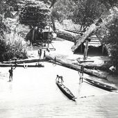 Suriname / Guyane française : Les Bushinenge - coco Magnanville