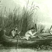 Le riz sauvage doit le rester - coco Magnanville