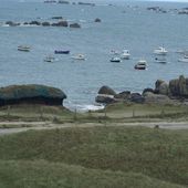 Goémoniers en Finistère - coco Magnanville