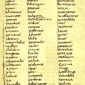 Les plantes potagères du capitulaire de Villis I. - coco Magnanville