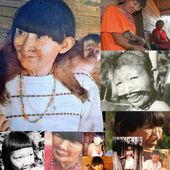 Bolivie : Les Pacahuara (peuple en danger d'extinction) - coco Magnanville