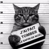 Etat d'urgence, pour qui ?
