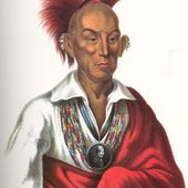 Etats-Unis /Mexique : La tribu Kickapoo - coco Magnanville