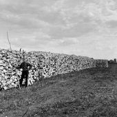 Guerres amérindiennes : La guerre de la Rivière Rouge - coco Magnanville