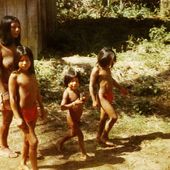 Bibliothèque indigène : Les Wayanas - coco Magnanville