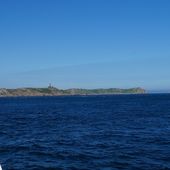 Les Sept Iles dans les Côtes d'Armor, refuge des oiseaux marins - coco Magnanville